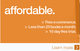 affordable business web sites